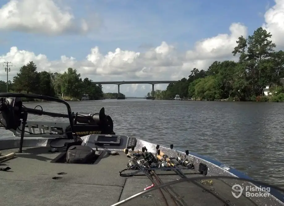Backwater Adventures charter image 6